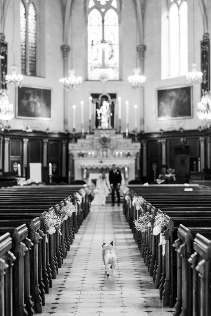 a dog walking in a church